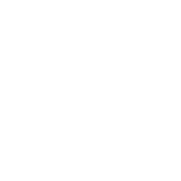 linkedin social icon